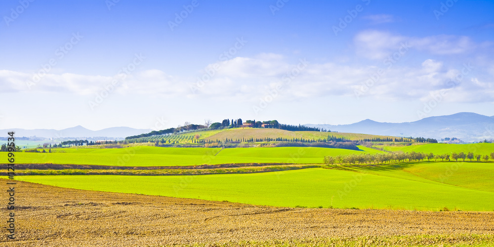 Typical tuscan landscape (Italy - Pisa)