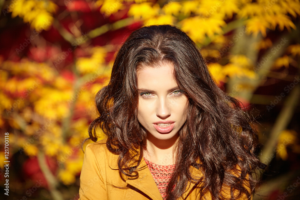 Beautiful woman in autumn park Beautiful woman in autumn park