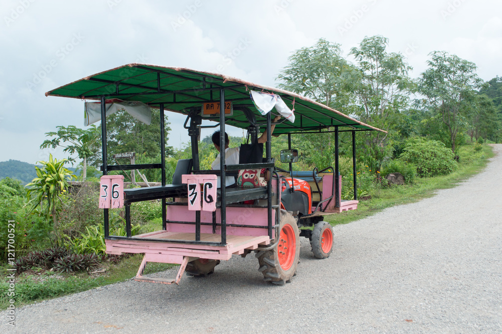 Obraz premium Fuji at Loei ,Thailand. PHU PA PO This Mountain looks like the Fuji in Japan.