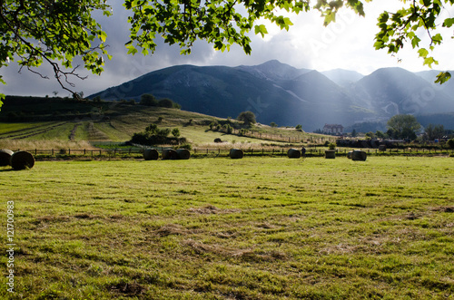 Estate in Montagna photo