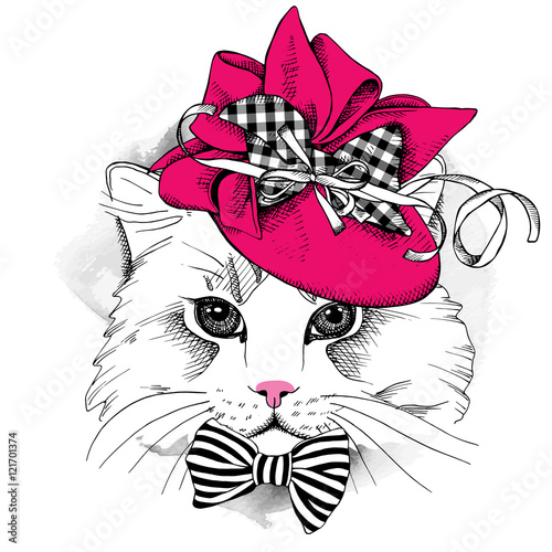 Cat portrait in a Elegant women's hat with bow and ribbon. Vector illustration.