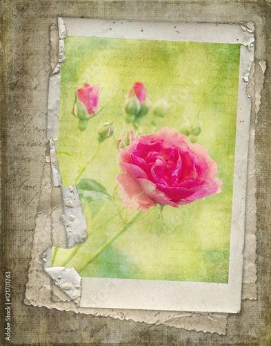 Photography Romantische shabby chic Collage | Vintage-Stil