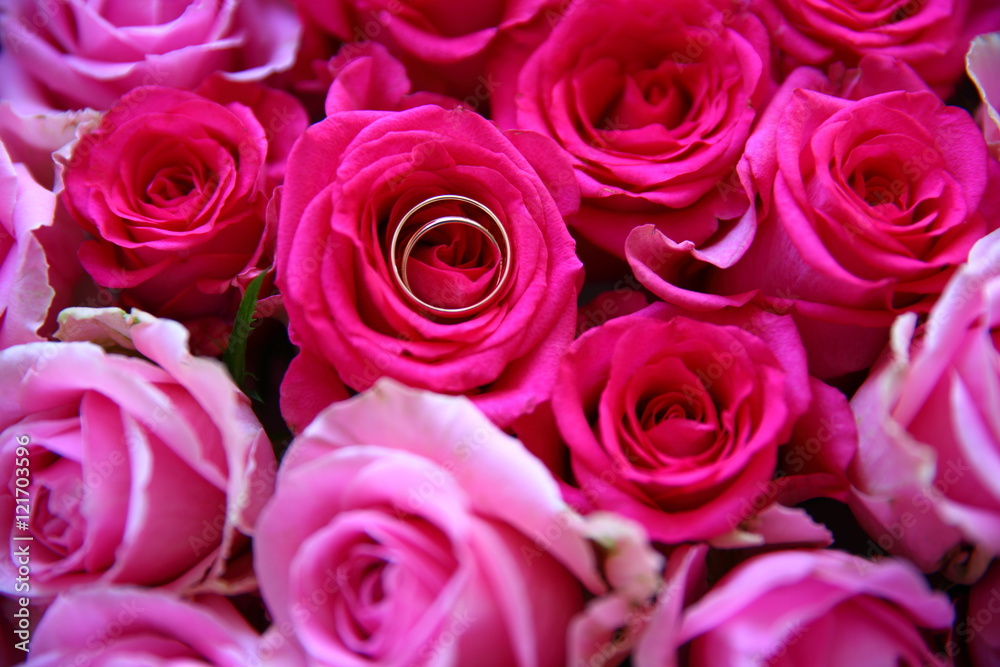 wedding rings/ wedding rings lying in the heart of a rose wedding rings/ wedding rings lying in the heart of a rose