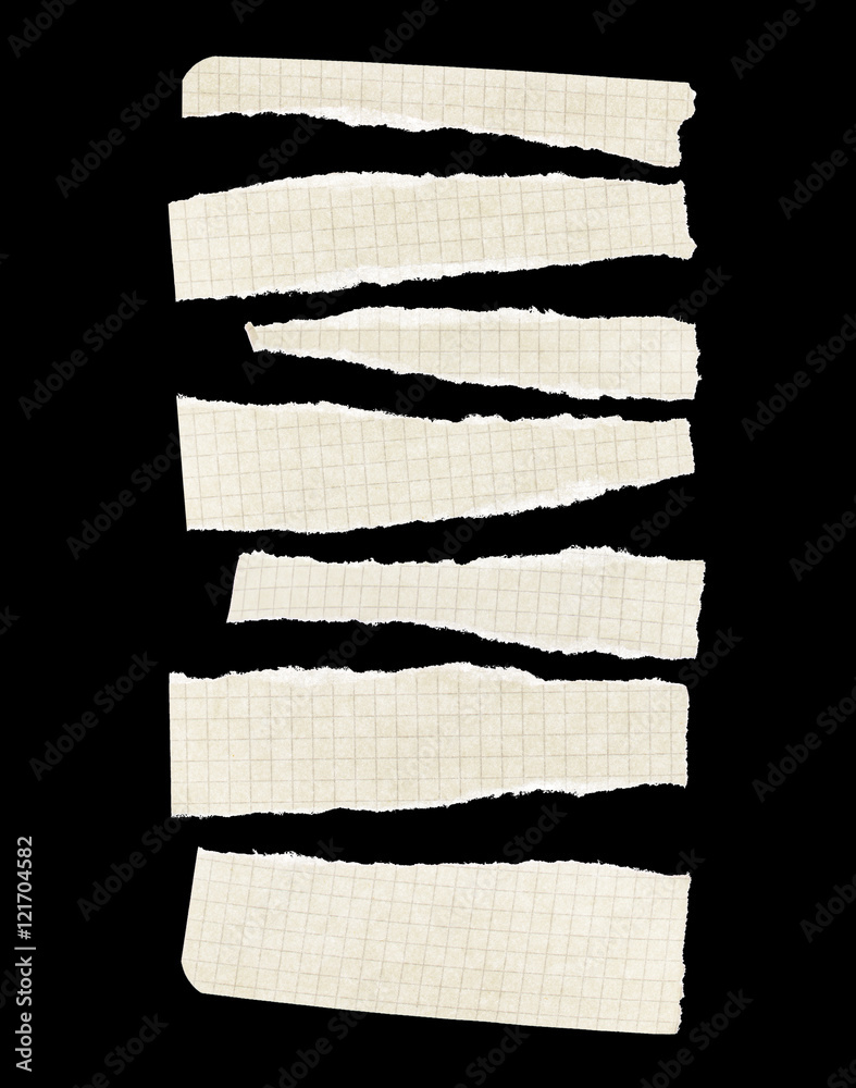 Paper torn to pieces on the isolated white background Paper torn to pieces on the isolated white background