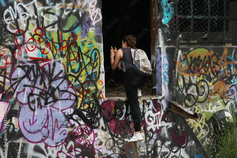 Fototapeta premium Surveying the Site