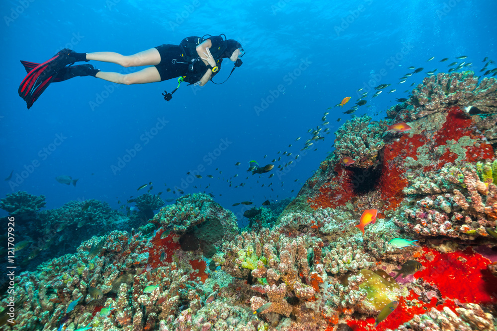 Fototapeta premium Young woman scuba diver exploring sea bottom