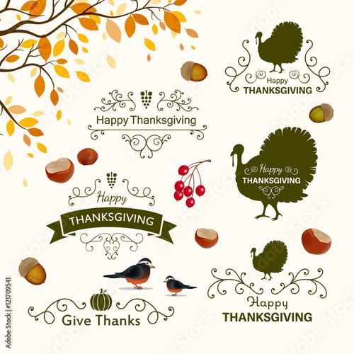 Vector Illustration of Thanksgiving Design Elements