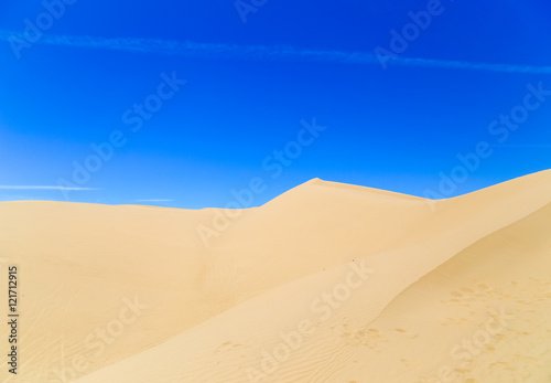 Footprints in the Desert