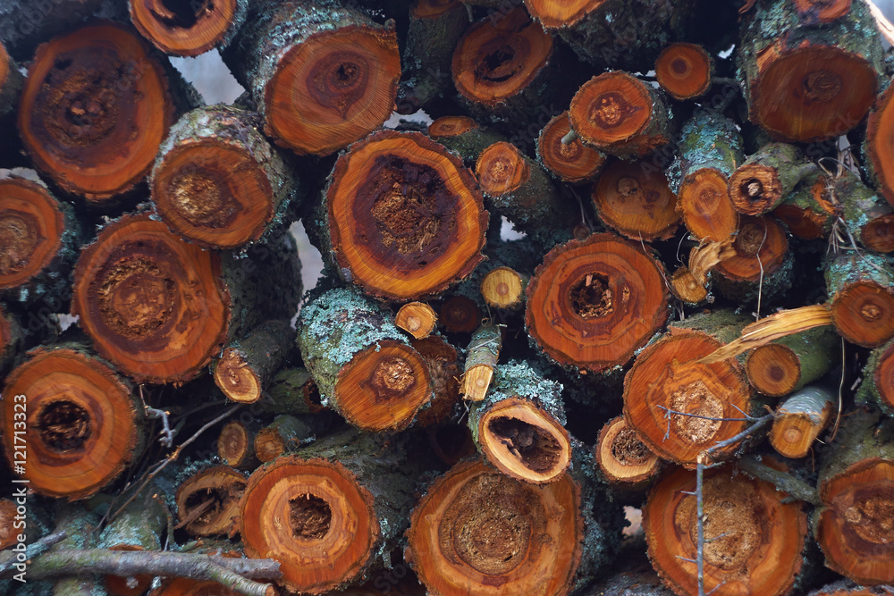 logs logs
