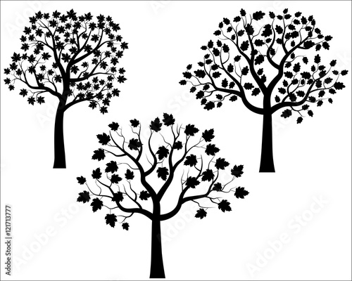 Photography Black Vector Tree Silhouettes