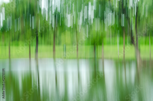 abstract forest in motion blur  abstract colorful background