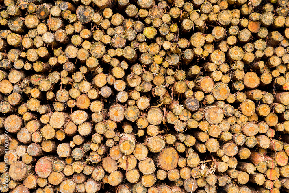 Pile of chopped fire wood Pile of chopped fire wood