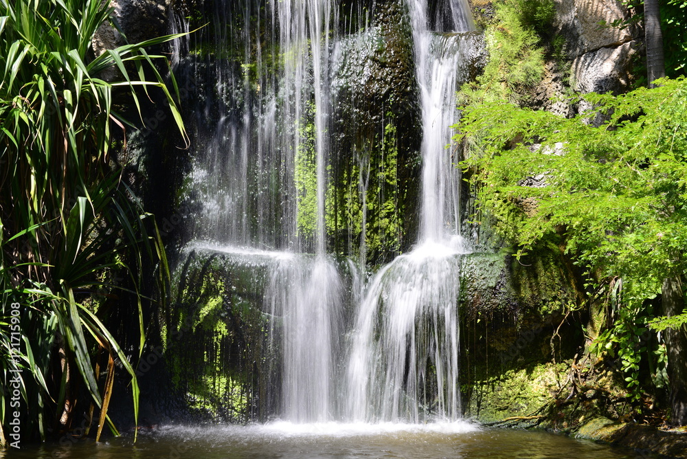 Tropical Waterfall Tropical Waterfall