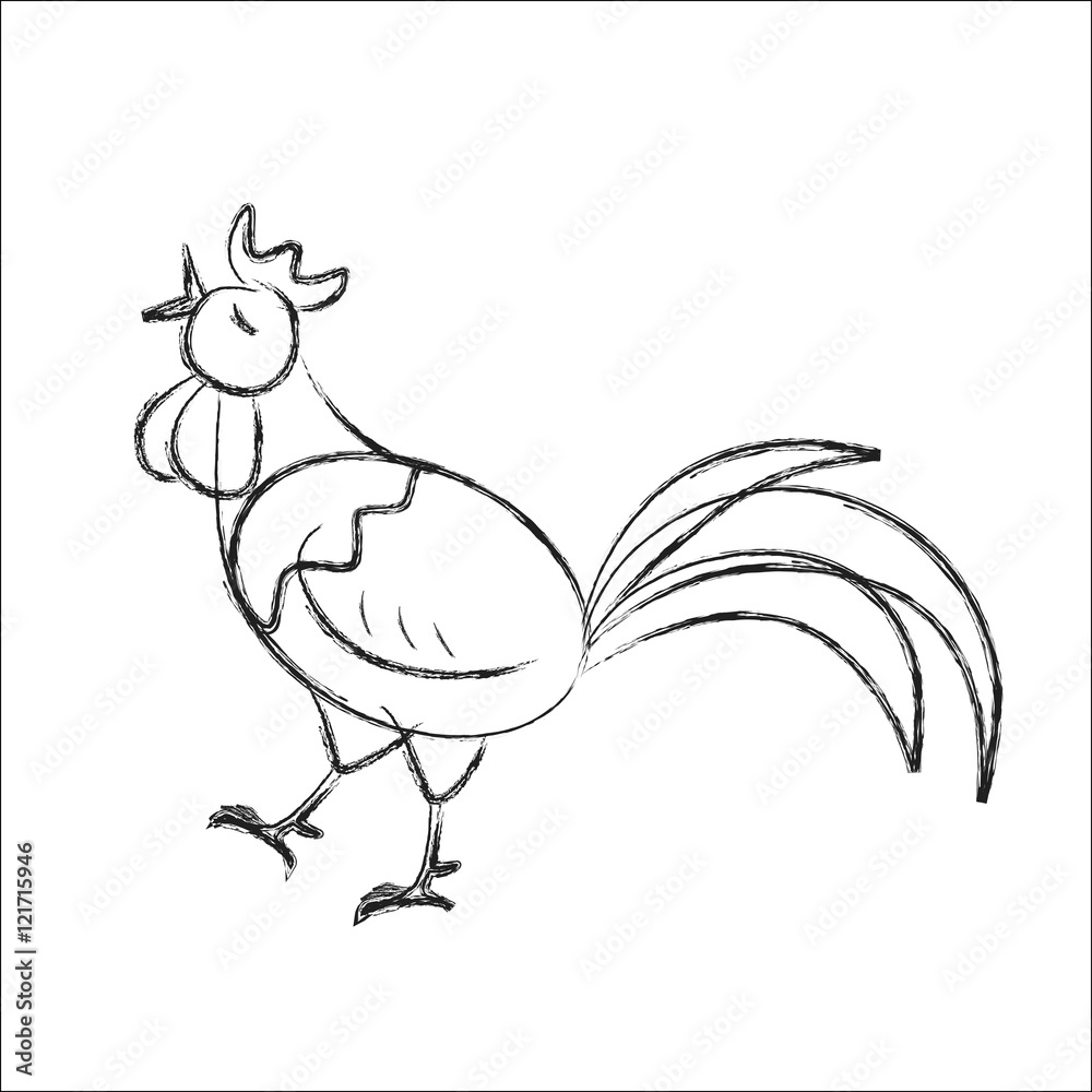 Sketch cock on the white background. Rooster song Sketch cock on the white background. Rooster song