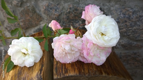 белая роза на деревянном фоне 