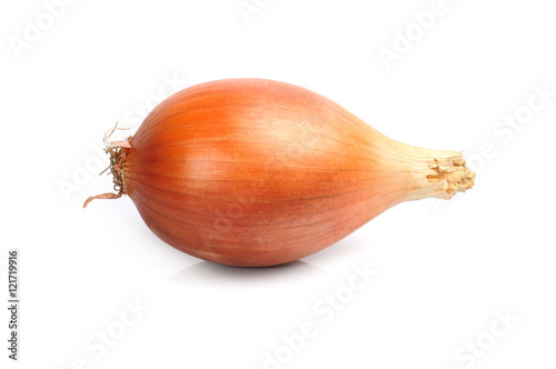 raw onion isolated on white