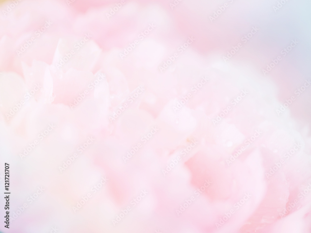 Fototapeta premium Colorful flower background 2