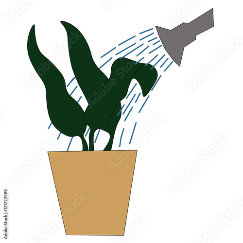 Watering can watering pot and houseplant