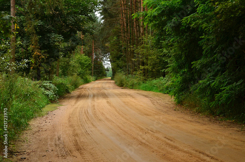 Wide sandy road in the woods