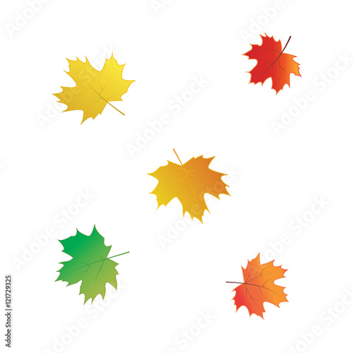 colorful autumn leaves isolated on white background abstract art vector elements for design