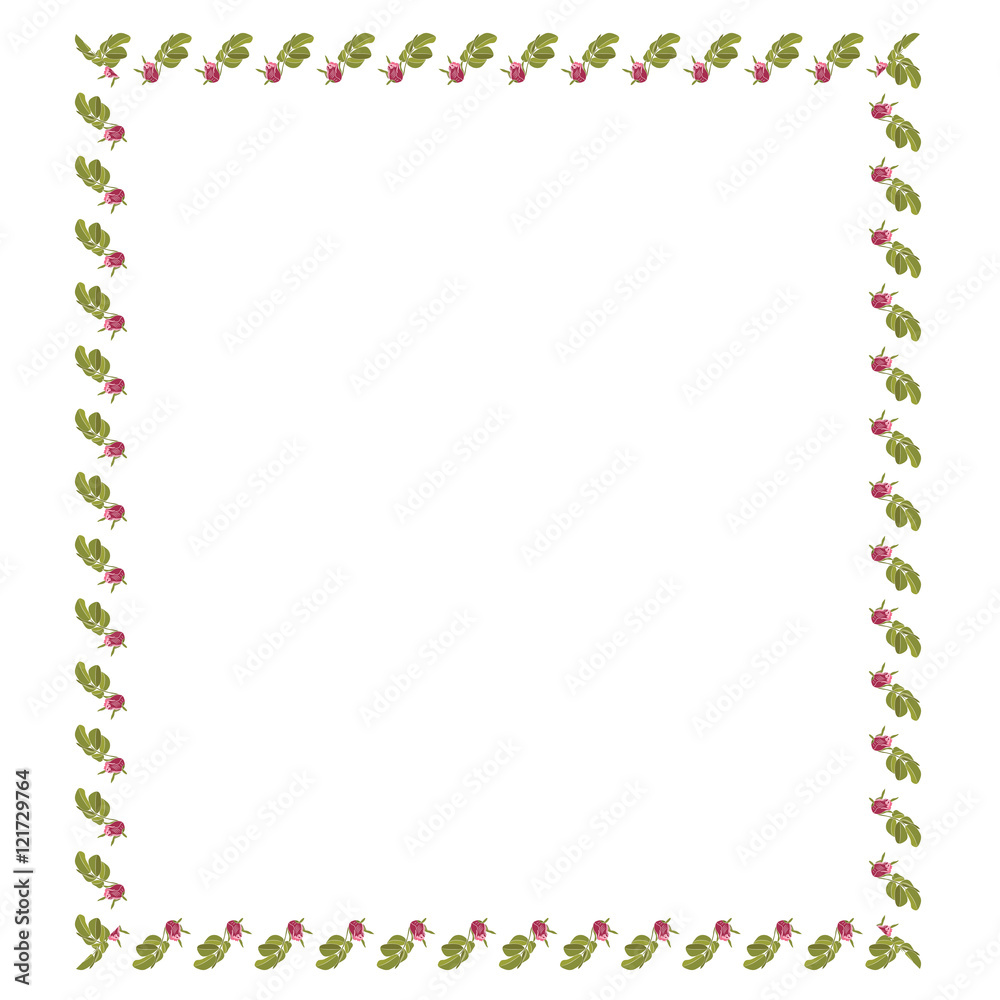 square shape of a rose with leaves handmade isolated on white background vector design element square shape of a rose with leaves handmade isolated on white background vector design element