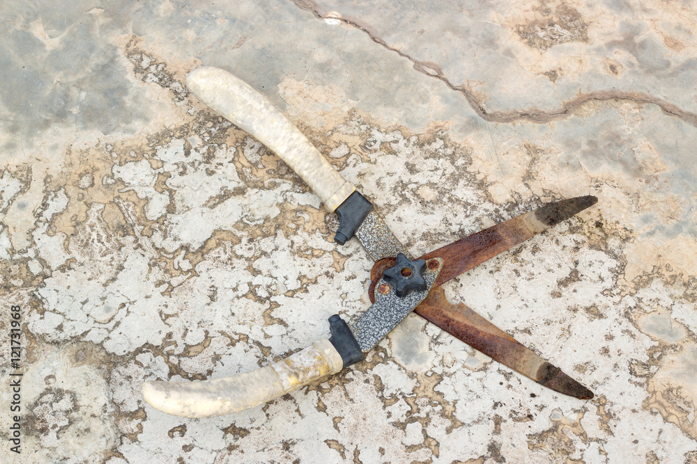 Obraz premium old grass shears on cement floor