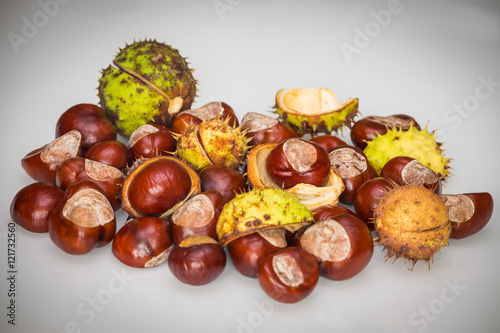 Autumnal chestnuts 