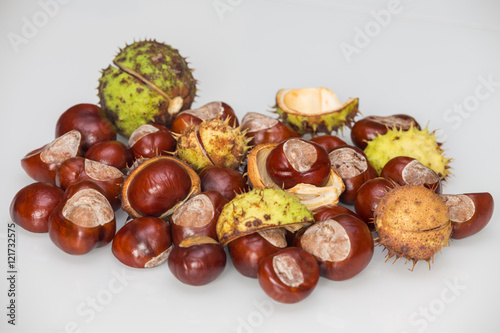 Autumnal chestnuts 