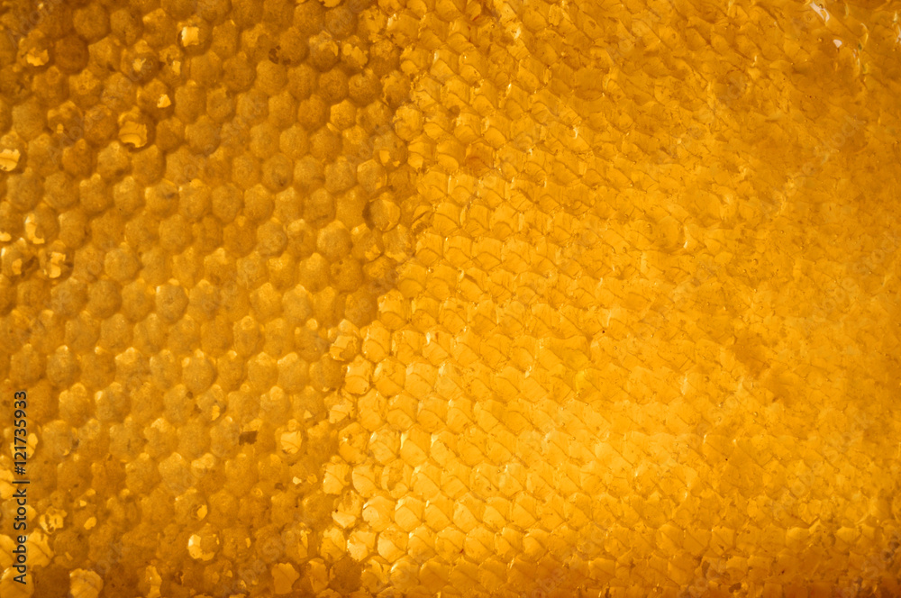 honeycomb with honey. honeycomb with honey.