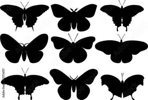 Butterflies black silhouettes on white background. Vector illustration.