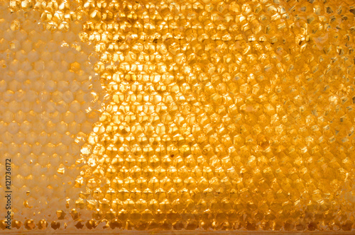 honeycomb with honey.