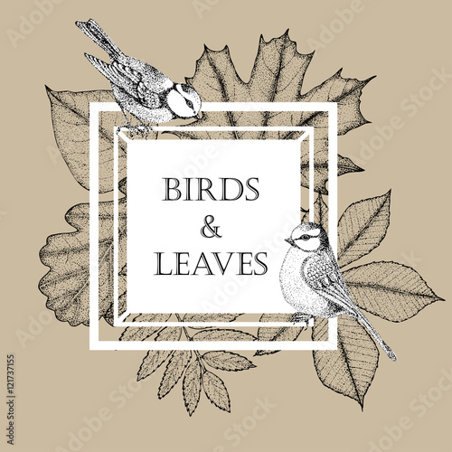 frame for text with leaves and birds in the square. Beautiful blue tits on a background of autumn leaves. Vector