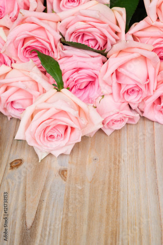 Pink blooming roses on wood with copy space © neirfy