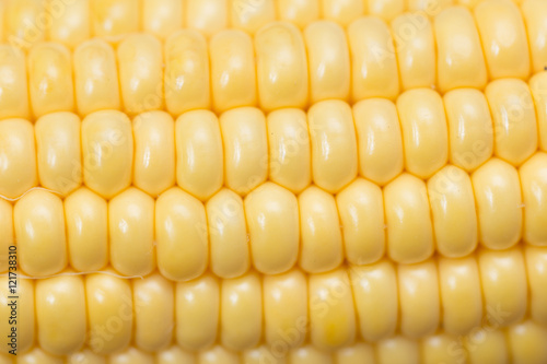 corn on the cob. closeup