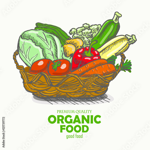 Vector background with vegetables in the basket.