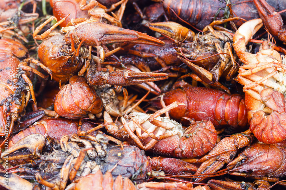 bunch red boiled crayfish with spices bunch red boiled crayfish with spices