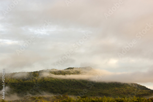 green mountain and fog with morning light