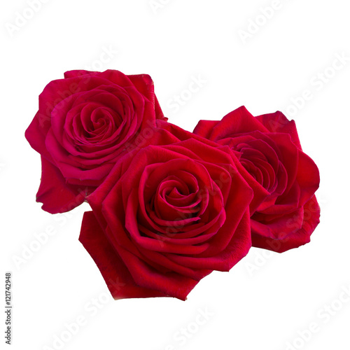 Three Dark red roses
