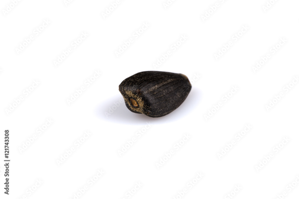 Heap of black sunflower seeds