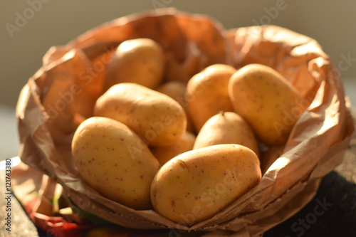 Fresh potatoes in a paper bag photo