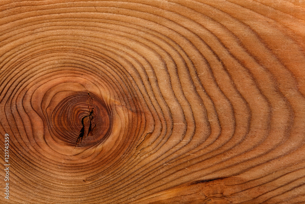 sawing of wood close up. Background and texture of wood Larch sawing of wood close up. Background and texture of wood Larch