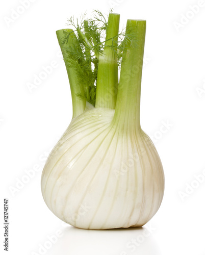 Fresh fennel bulb isolated on white background close up photo