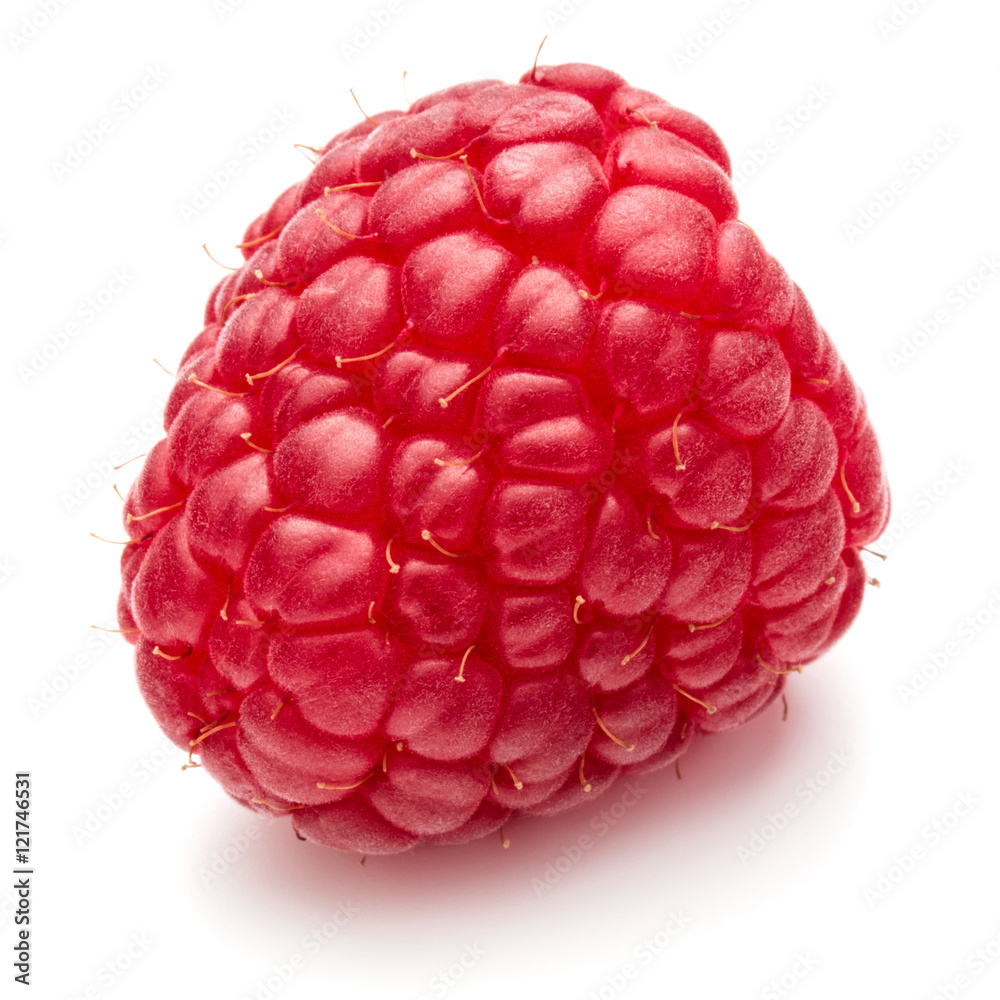 ripe raspberry isolated on white background close up ripe raspberry isolated on white background close up