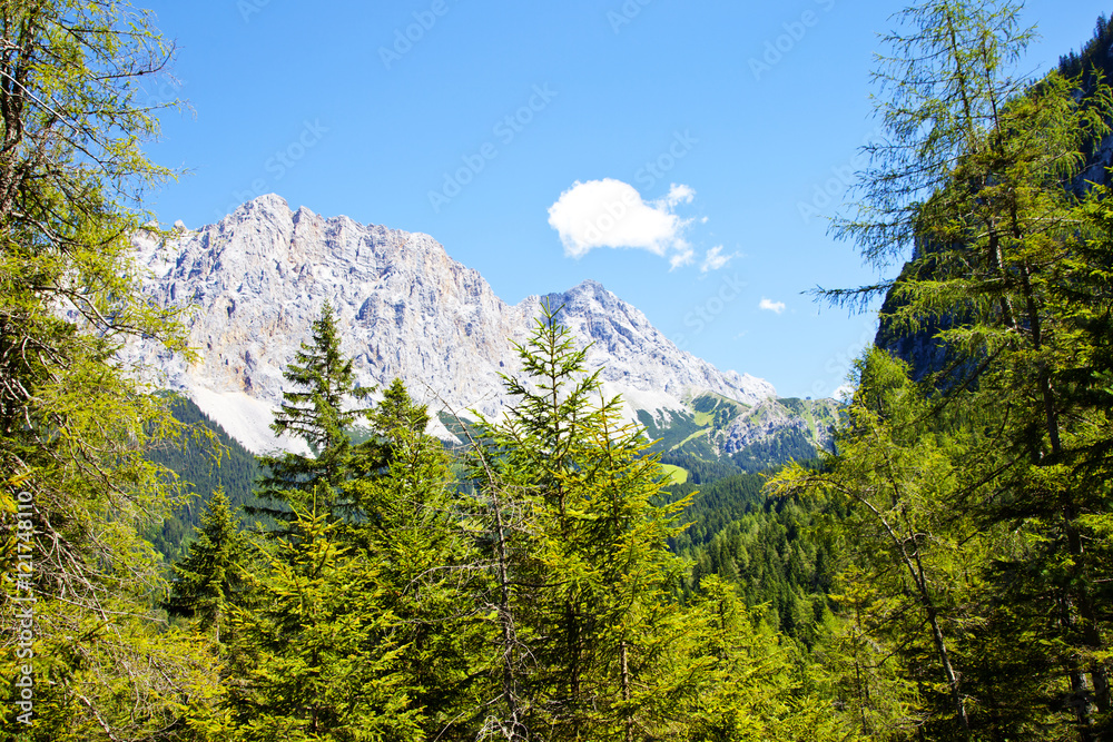 Beautiful mountains and trees near Biberwier, Tirol, Austria Beautiful mountains and trees near Biberwier, Tirol, Austria