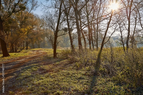 Autumn morning landscape