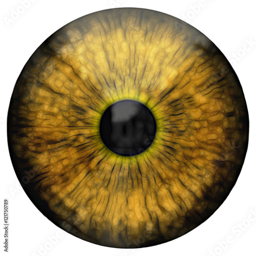 Eye  abstract digital illustration