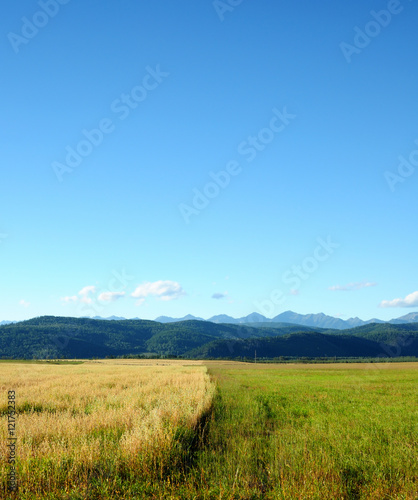 The last days of summer. Agricultural landscape. The boundary between the fields with unharvested grain harvest. Blue sky with cumulus clouds. Mountains on the horizon. Photo partially tinted.