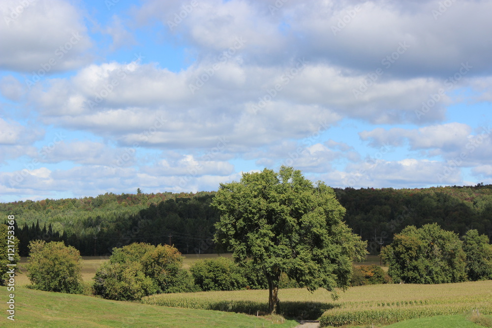 Countryside landscape in Southern Quebec