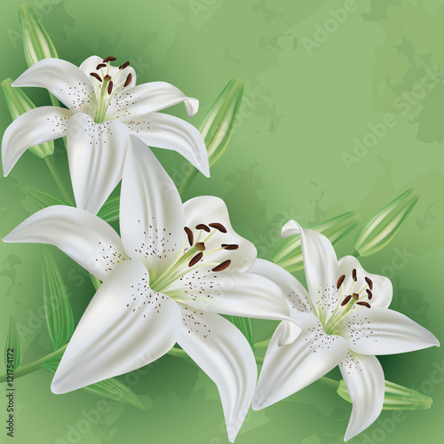 Fototapeta Naklejka Na Ścianę i Meble -  Floral vintage background green with flower lily