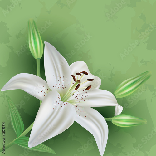 Vintage floral green background with flower lily